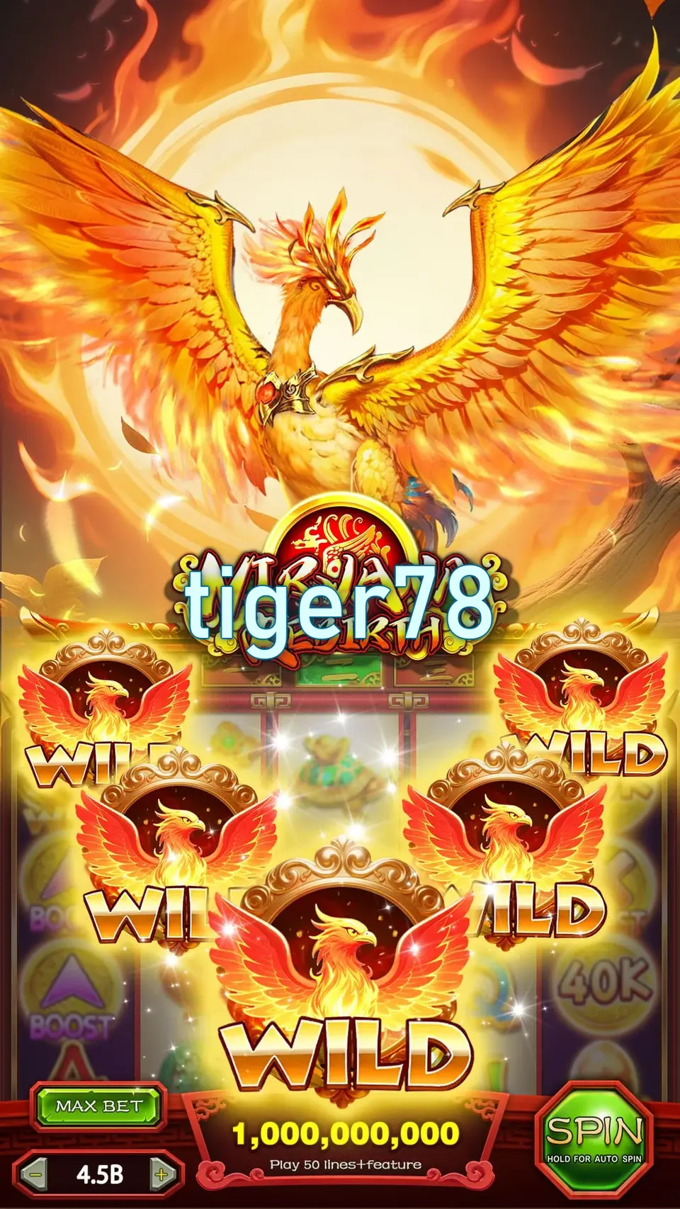 tiger78 Masuk